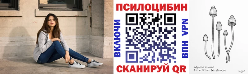 где найти наркотики  Касимов  Псилоцибиновые грибы мухоморы 