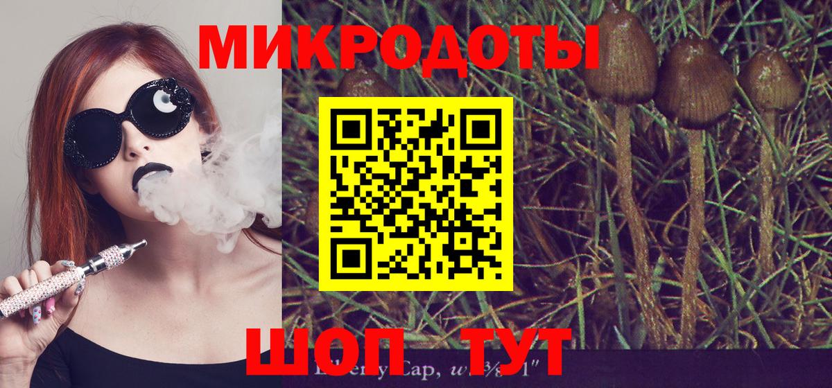Псилоцибиновые грибы MAGIC MUSHROOMS Касимов