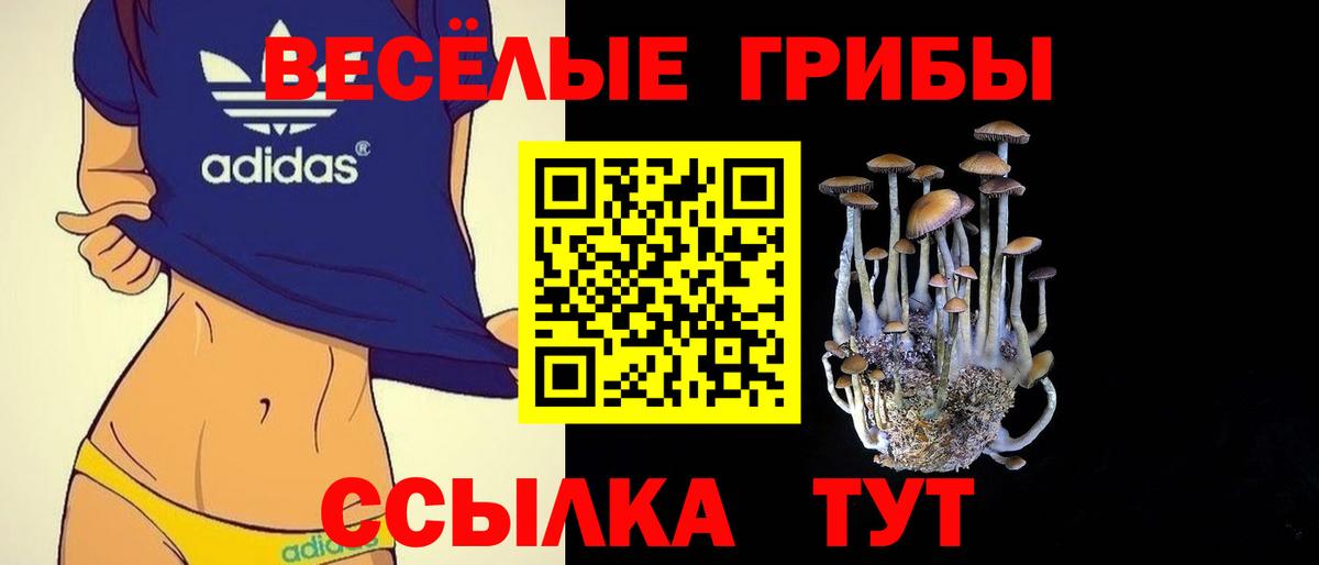 Касимов  Псилоцибиновые грибы Cubensis  Вход с VPN 